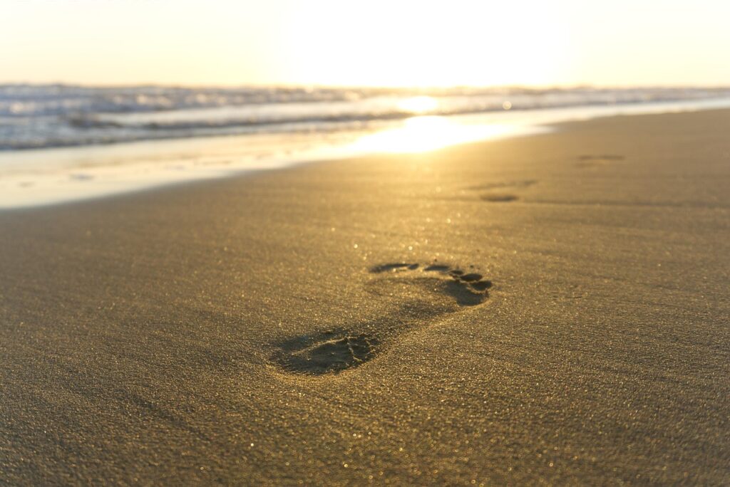 footprint, sand, sunset, beach, shore, coast, walk, dusk, nature, closeup